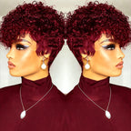 Afro Kinky Curly Wig Human Hair Short Wigs For Woman Human Hair 100% Natural  Brazilian Hair Wigs Full Machine Made