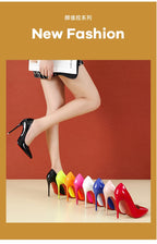 2025 Fashion High Heels 35-45 Plus Size Women Shoes 12cm Thin Stiletto Banquet Wedding Shoes Sexy Pointed Toe Ladies Party Shoes