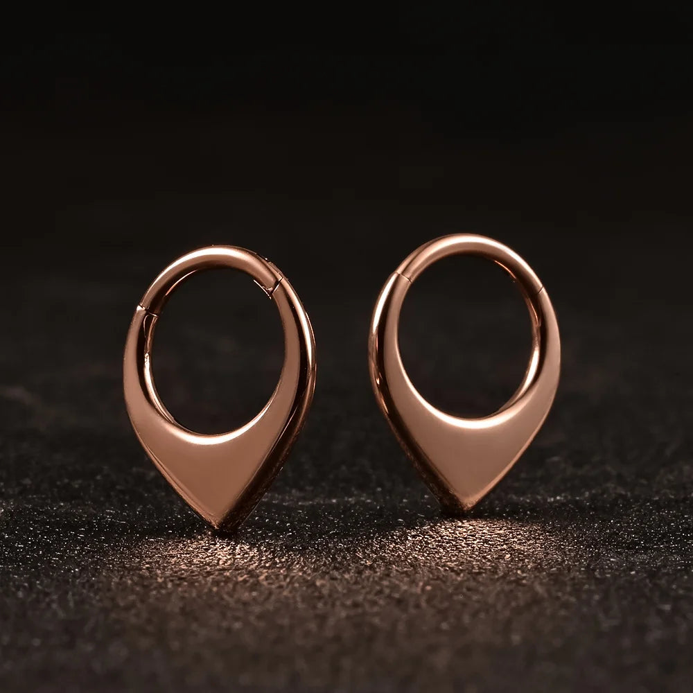 Doearko Nose Rings Tragus Helix Piercing Drop Earring for Women Rook Lobe Cartilage Ear Percing Earring Stainless Steel Jewelry