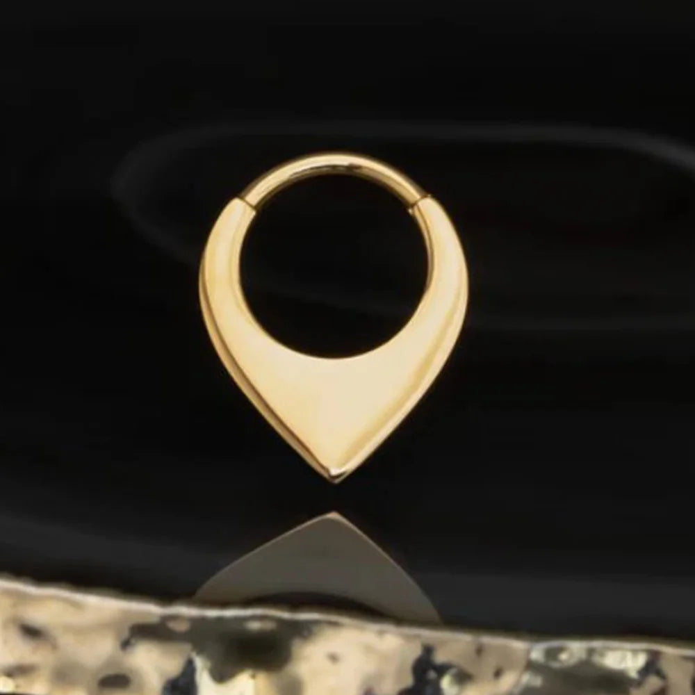 Doearko Nose Rings Tragus Helix Piercing Drop Earring for Women Rook Lobe Cartilage Ear Percing Earring Stainless Steel Jewelry